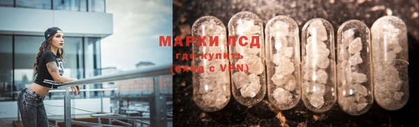 индика Аркадак
