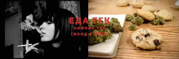 шишки Чердынь